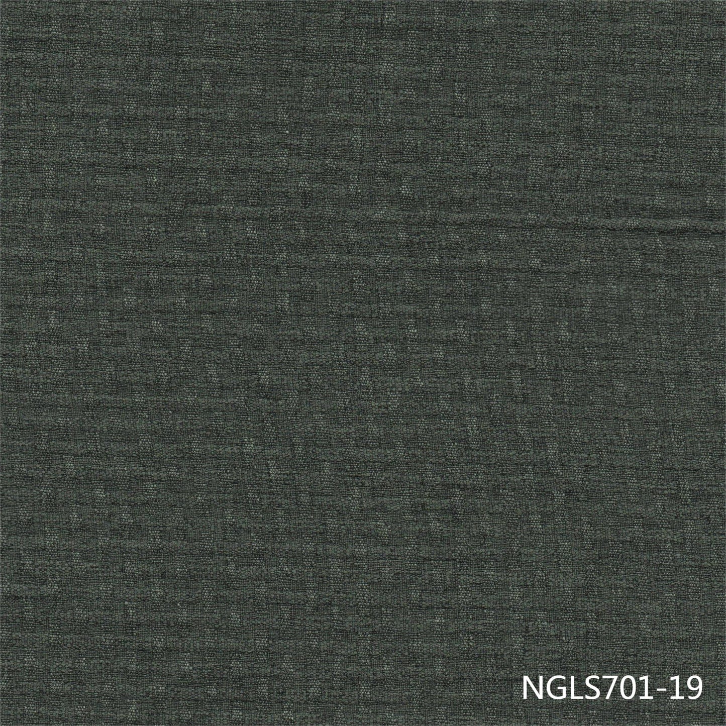 NGLS701-19